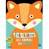 Raffaello Ragazzi Coloriamo gli animali. Il bosco. Con stickers