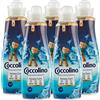 Coccolino 5x Coccolino Intense Care Ammorbidente Concentrato Profumo di Campanula Selvatica e Bergamotto 200 Lavaggi Totali - 5 Flaconi da 1 Litro Ognuno