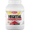 WHY SPORT VEGETAL 100% PROTEIN 750 GR Vaniglia