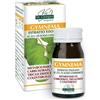 Gymnema estratto titolato 60 pastiglie
