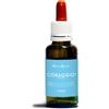 Coraggio fobie natur mix 30 ml