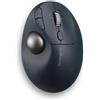 Kensington Mouse Kensington Pro Fit Ergo TB450 Wireless Nero [K72196WW]