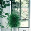Icone Minitallux Lampada da tavolo a LED Bolla LP in diverse finiture by Icone Luce