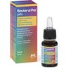 N.B.F. LANES Srl Reuteral Pet Gatto Gocce - stabilizzatore della flora intestinale - 10 ml