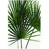 Komar WTD P061-50 x 70 cm (Larghezza x Altezza)