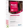 Bioscalin nutri color Bioscalin Nutricolor Plus Colorazione 4,3 Castano Dorato