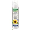 Rausch ag kreuzlingen Rausch Hairspray Flexible Aerosol 75 ml