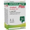 Enterolactis Plus 14 Bustine