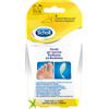 Scholl's Scholl Cerotto Vesciche Tallone 5 Pezzi