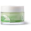 Bottega Verde, Aloe - Crema gel viso 24 ore - idratante lenitiva opacizzante - con 30% succo di Aloe* bio (50 ml) - pelli miste