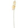DRW Set di 6 rami di orchidismo in poliestere bianco 1x100 cm
