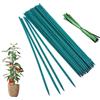 DeJivsin 50 Pezzi 30 cm Supporti per Piante, 50 Cinghie, Bambù verde Supporto Piante, Bastoncini per Orchidee Ideale per Sostenere Cetrioli, Composizioni Floreali o Piante Rampicanti