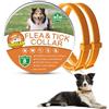Surglam Collare Antiparassitario per Cani, Collare Antipulci Cane, Collare Antipulci e Zecche per Cani, Collare Regolabile Impermeabile, 8 Mesi di Protezione per Tutti i Tipi di Cani, 62 cm Taglia Unica
