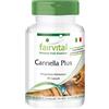 fairvital Capsule alla cannella Plus, ALTO DOSAGGIO, estratto di cannella + cromo + zinco, VEGANE, 90 capsule