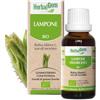 Pranarom Herbalgem Gemmoderivato Di Lampone 30 Ml
