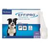 Effipro Spot On per cani di taglia media, 10-20 kg, 4 pipette