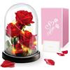 Touloube Regalo di San Valentino Per Mamma Nonna, Fiore Rosa Regalo per Lei -3 Rose Rosse di Seta con Luce a LED in Una Cupola di Vetro per la Festa Della Mamma, Compleanno, Anniversario,Fiore Rosa Regalo