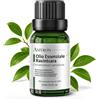 AMYRON Olio Essenziale Ravintsara 15 ml AMYRON 100% Puro - Aroma Fresco e Balsamico - Ideale Per Diffusore e Aromaterapia Perfetto Per Un Ambiente Fresco e Piacevole - Cinnamomum Camphora