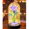 Touloube Regalo di San Valentino Per Mamma Nonna, Fiore Rosa Regalo per Lei - 1 Rosa di Seta Viola con Luce a LED in una Cupola di Vetro per la Festa Della Mamma, Compleanno, Anniversario, Fiore Rosa Regalo
