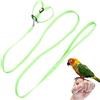 Fybida Pet Parrot Bird Harness Guinzaglio Regolabile Bird Flying Harness Corda di Trazione per Pappagalli Piccioni Budgerigar Outdoor Training Toy(Verde)