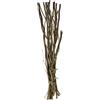 Glorex Willow Bundle, 40 cm, marrone