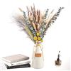 is Tycons 80PezziErba della Pmapas Fiori Secchi Decorativi Naturali Decorativi Pampas Secca Bouquet Fiori Essiccati per Interno Pampas Grass Fiori Secchi per Home Decor Wedding Boho Deco