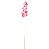 DRW Set di 6 rami di orchidismo in poliestere rosa 1x100 cm