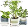 Chive Vasi per piante in ceramica 'Minute' - Carini, bellissimi vasi per fiori e piante da appartamento per interni ed esterni - Set di 3 - Verde e Blu