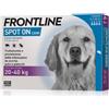 Frontline Spot On Antiparassitario per cani 20-40 kg 4 pipette