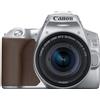 Canon Kit Fotocamera Reflex Canon EOS 250D Silver + Obiettivo 18-55mm IS STM - Prodotto in Italiano [Prodotto ufficiale - Garanzia Canon 2 Anni]