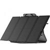 EcoFlow Pannello fotovoltaico portatile - 160W