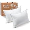 Fern&Willow Felce e salice Premium Loft Down cuscini alternativi per dormire (confezione da 2) gel peluche cuscino (standard)