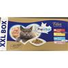Prevital XXL BOX per Gatti Adulti con Pollo, Manzo, Tonno e Tacchino da 48bstx85 gr