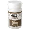 BIOEVOLUTIONPHARMA Srl EVOCOLIT 30 COMPRESSE