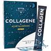 BALANCE NUTRITION COLLAGENE IDROLIZZATO 5000MG | Collagene da Bere | Collagene e Acido Ialuronico, Coenzima Q10, Vitamina C Naturale, Melograno, Resveratrolo, Acido Alfa Lipoico, Bardana | 10 Stickpack Liquidi