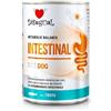 Disugual Intestinal Trota 400g umido dietetico cane 400g