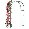 Forever Speed ​​​​Rose Arch in metallo a traliccio per rose in acciaio verniciato a polvere, decorazione e ornamento da giardino, 240 x 140 x 38 cm, verde