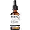 Bullfrog Olio barba multifunzione Secret potion n.3 50ml
