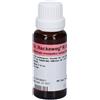 Reckeweg R24 Gocce 22Ml 22 ml orali
