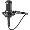 Audio-Technica AT2050 Microfono Pro x voce podcasting, streaming e registrazione