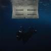 INTERSCOPE HIT ME HARD AND SOFT (LP Recycled Black)