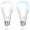 SCNNC Lampadina LED E27 Sensore Crepuscolare 12W, Auto On/Off, Bianco Freddo 6000K, Lampadine Crepuscolare da Esterno E27 per Corridoio Giardino Patio Veranda Scale, 2 Pezzi