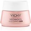 Vichy Neovadiol Rose Platinium Occhi Crema Rosa Anti-Borse E Anti-Rughe 15 Ml