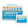 Carnidyn Fast Magnesio E Potassio Integratore 20 Bustine
