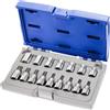 Pastorino expert Assortimento bussole e accessori con inserto - 16 pezzi - Expert