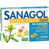 Named srl SANAGOL GOLA VOCE MIE LIM 24CA