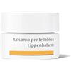 Dr. Hauschka Balsamo per le labbra 4,5gr Balsamo Labbra