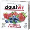 FALQUI Ziguli Vit Frutti Di Bosco Vitamine Minerali