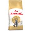 Royal Canin Breed Royal Canin Adult British Shorthair 34 Cibo umido (12x85g)