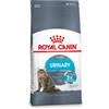 Royal Canin Urinary Care per gatto Cibo umido (12x85g)